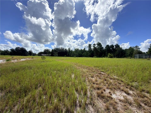 Tiny photo for 41938 Pine Valley Drive, Paisley, FL 32767 (MLS # G5117224)