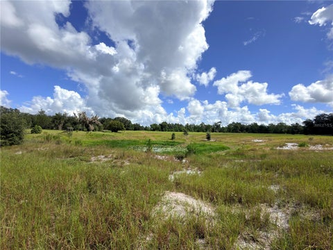 Tiny photo for 41938 Pine Valley Drive, Paisley, FL 32767 (MLS # G5117224)