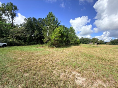 Tiny photo for 41938 Pine Valley Drive, Paisley, FL 32767 (MLS # G5117224)
