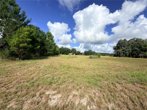 Tiny photo for 41938 Pine Valley Drive, Paisley, FL 32767 (MLS # G5117224)