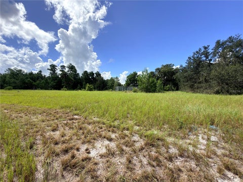 Tiny photo for 41938 Pine Valley Drive, Paisley, FL 32767 (MLS # G5117224)