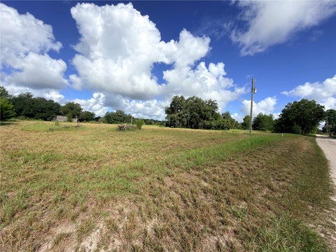 Tiny photo for 41938 Pine Valley Drive, Paisley, FL 32767 (MLS # G5117224)