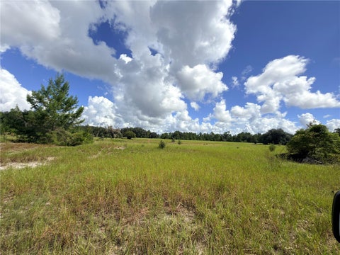 Tiny photo for 41938 Pine Valley Drive, Paisley, FL 32767 (MLS # G5117224)