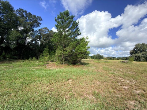 Tiny photo for 41938 Pine Valley Drive, Paisley, FL 32767 (MLS # G5117224)