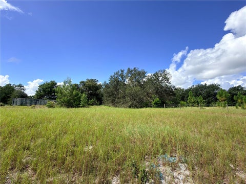 Tiny photo for 41938 Pine Valley Drive, Paisley, FL 32767 (MLS # G5117224)