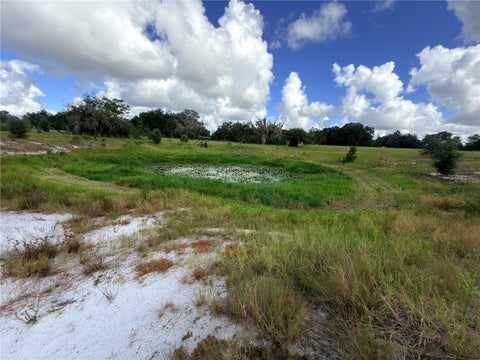 Tiny photo for 41938 Pine Valley Drive, Paisley, FL 32767 (MLS # G5117224)