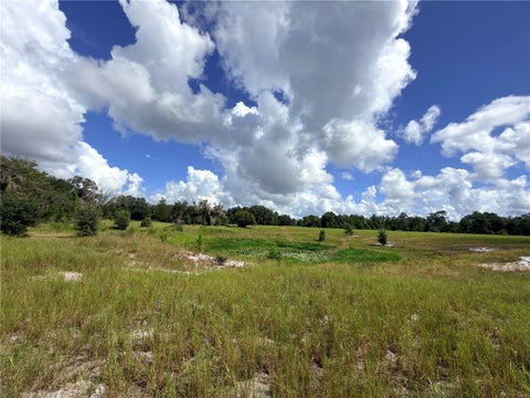 Tiny photo for 41938 Pine Valley Drive, Paisley, FL 32767 (MLS # G5117224)