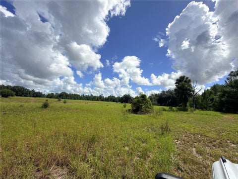 Tiny photo for 41938 Pine Valley Drive, Paisley, FL 32767 (MLS # G5117224)