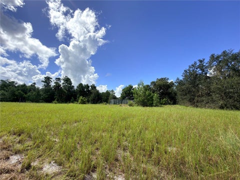 Photo of 41938 Pine Valley Drive, Paisley, FL 32767 (MLS # G5117224)