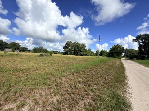 Tiny photo for 41938 Pine Valley Drive, Paisley, FL 32767 (MLS # G5117224)