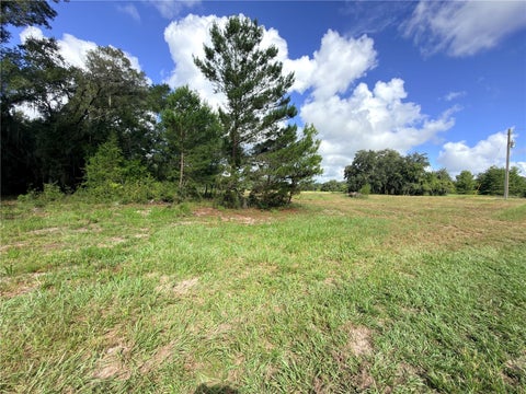 Tiny photo for 41938 Pine Valley Drive, Paisley, FL 32767 (MLS # G5117224)