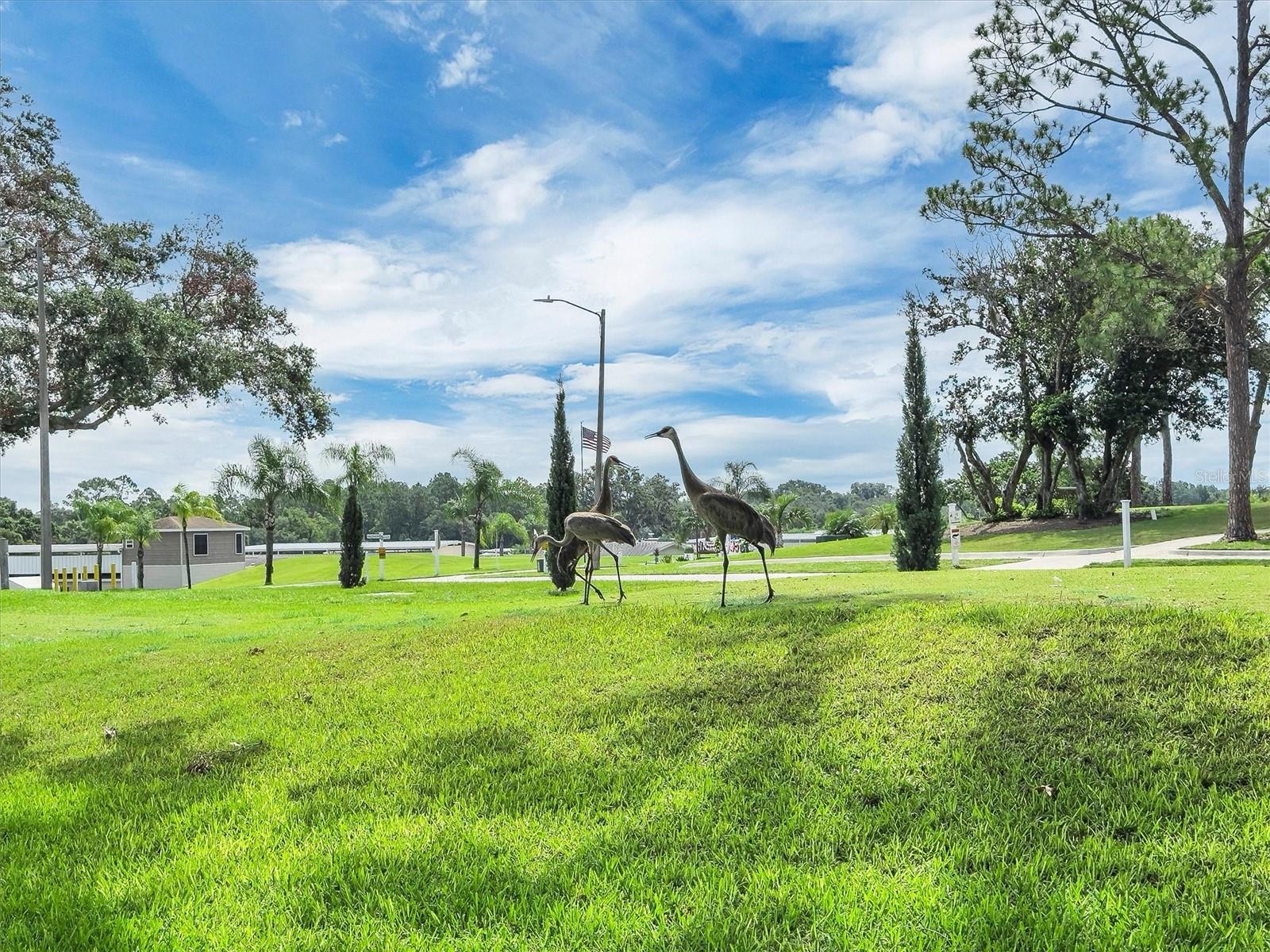 DEER CREEK GOLF & TENNIS RV RESORT PH 03-G - Land