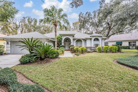 A home in TAMPA