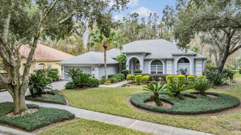 A home in TAMPA