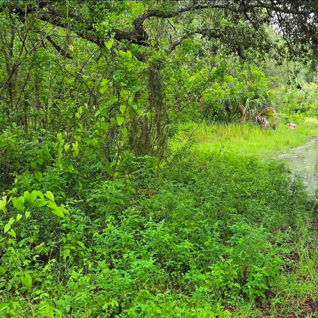 MOON LAKE ESTATES REP - Land