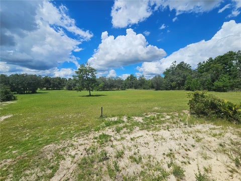 Tiny photo for 5950 NE 107th Court, Bronson, FL 32621 (MLS # OM731851)