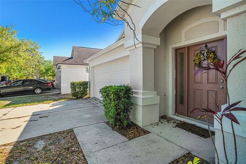 A home in RIVERVIEW