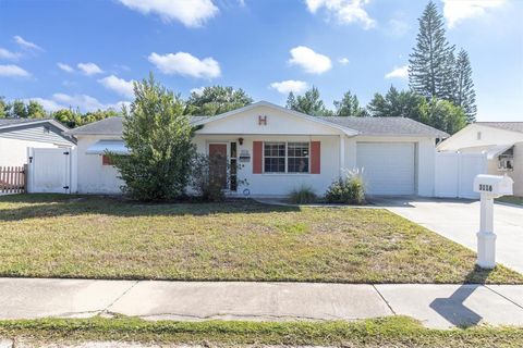3116 FAIRMOUNT DRIVE HOLIDAY FL 34691