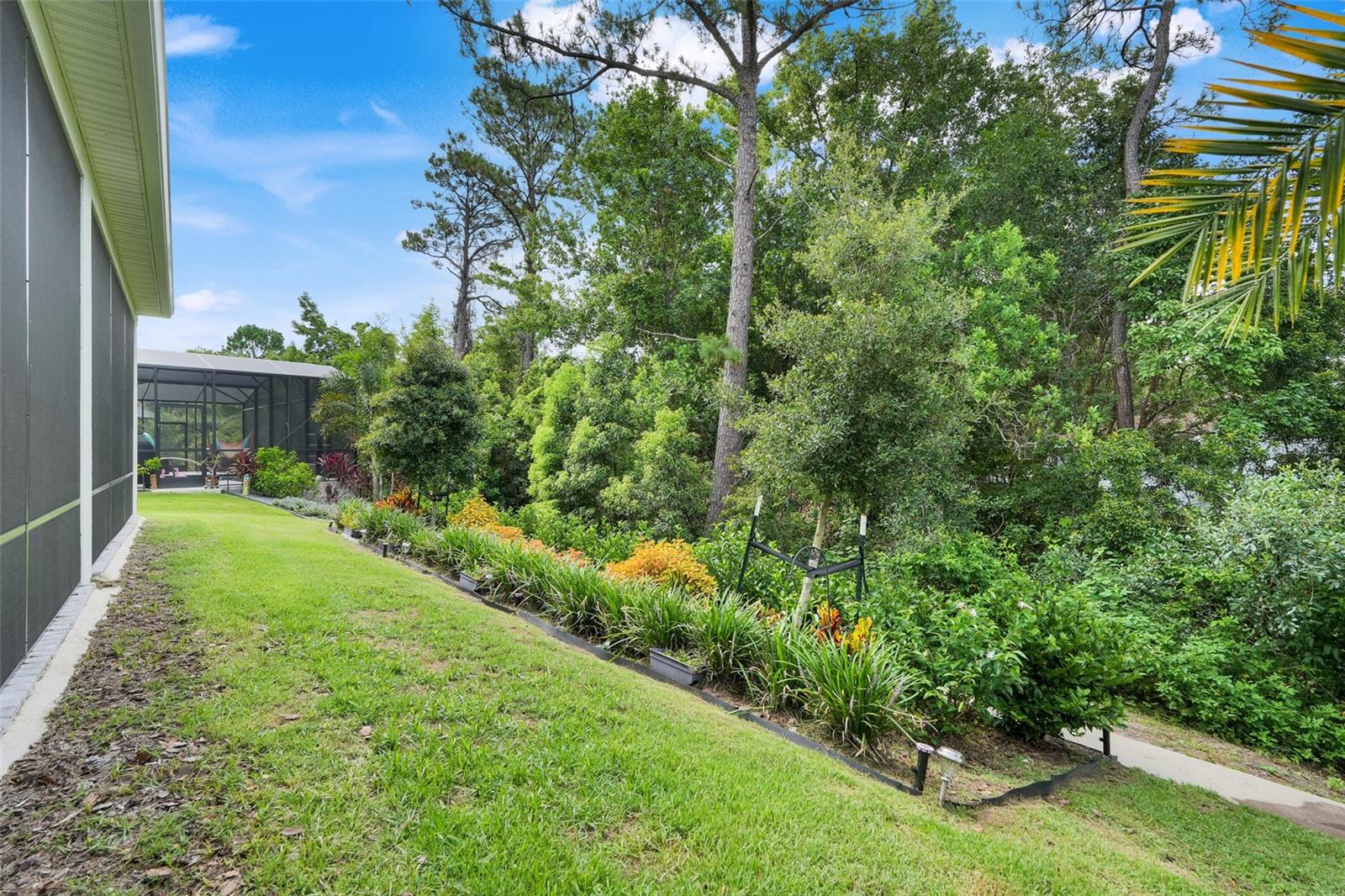 LAKES OF MOUNT DORA - Residential