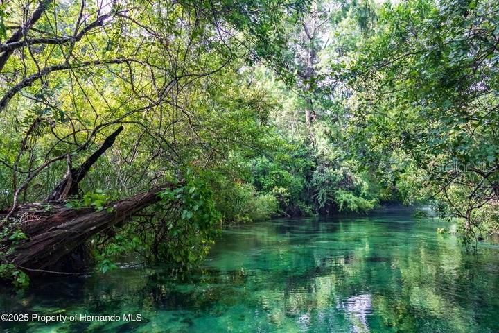 WEEKI WACHEE SHORES - Residential