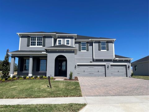 3295 ROSEVILLE DRIVE APOPKA FL 32712