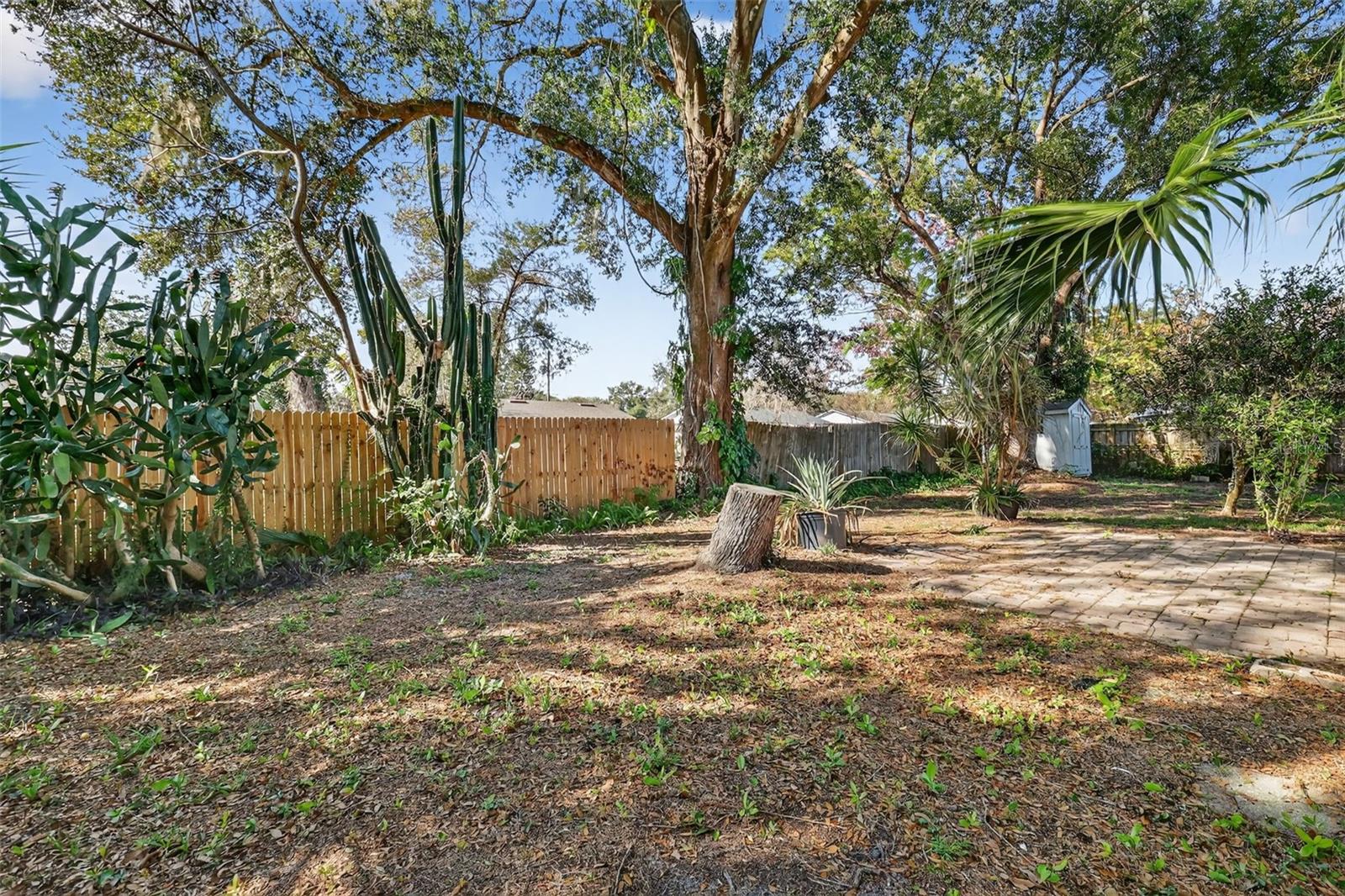 LAKE DORA PINES - Residential