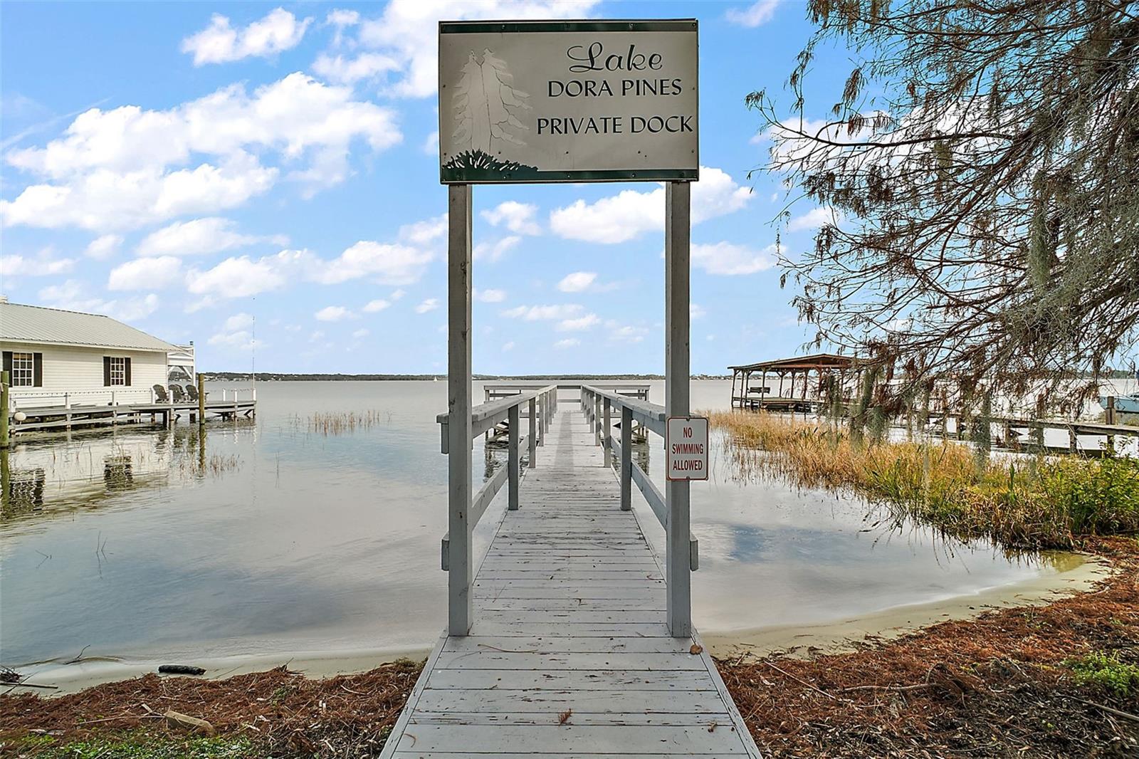 LAKE DORA PINES - Residential