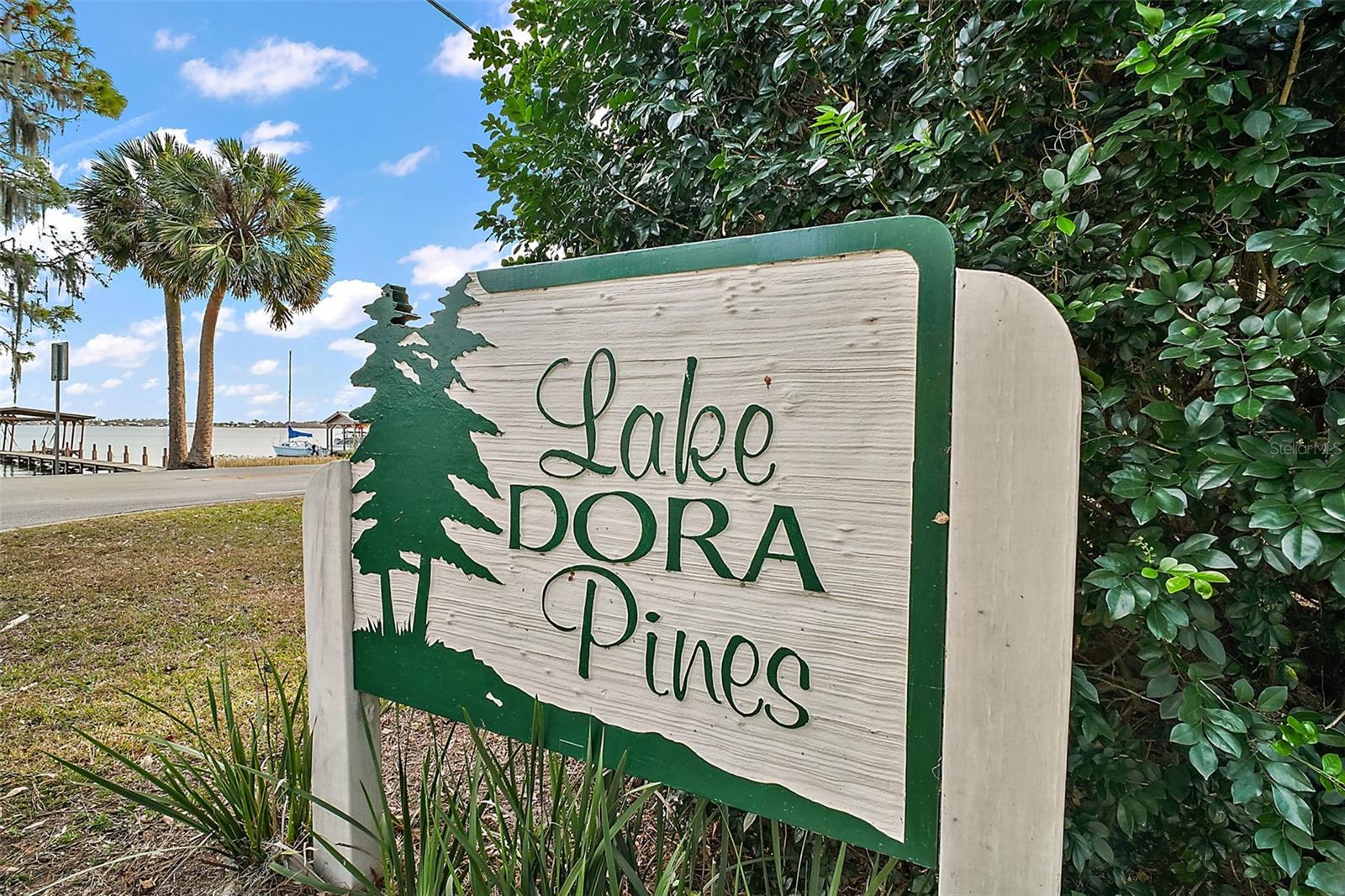LAKE DORA PINES - Residential
