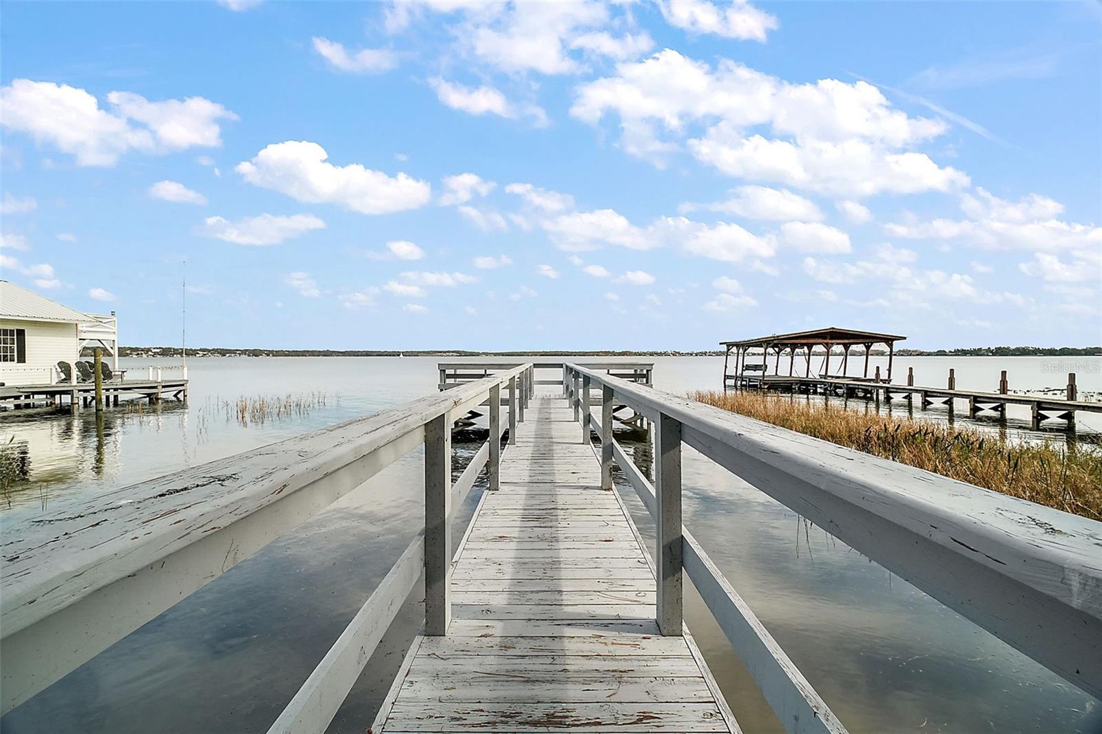 LAKE DORA PINES - Residential