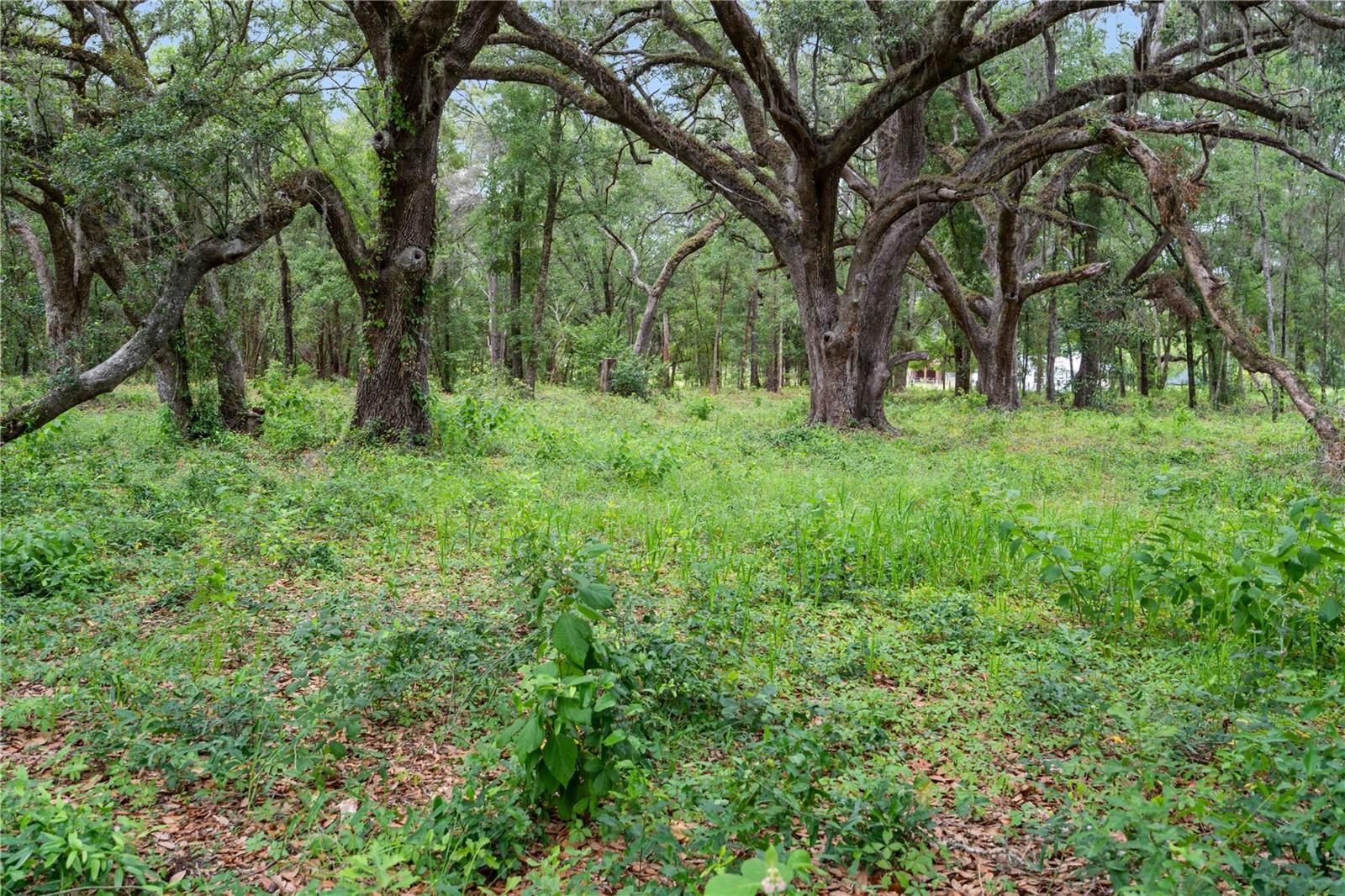 SMALL FARMS - Residential
