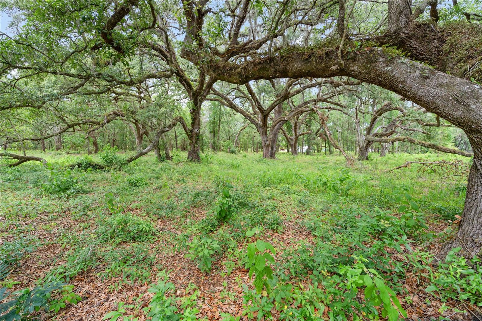 SMALL FARMS - Residential
