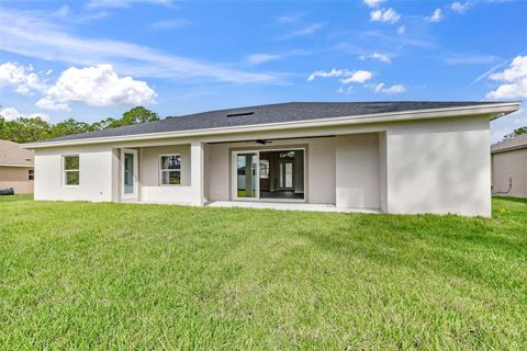 A home in PALM COAST