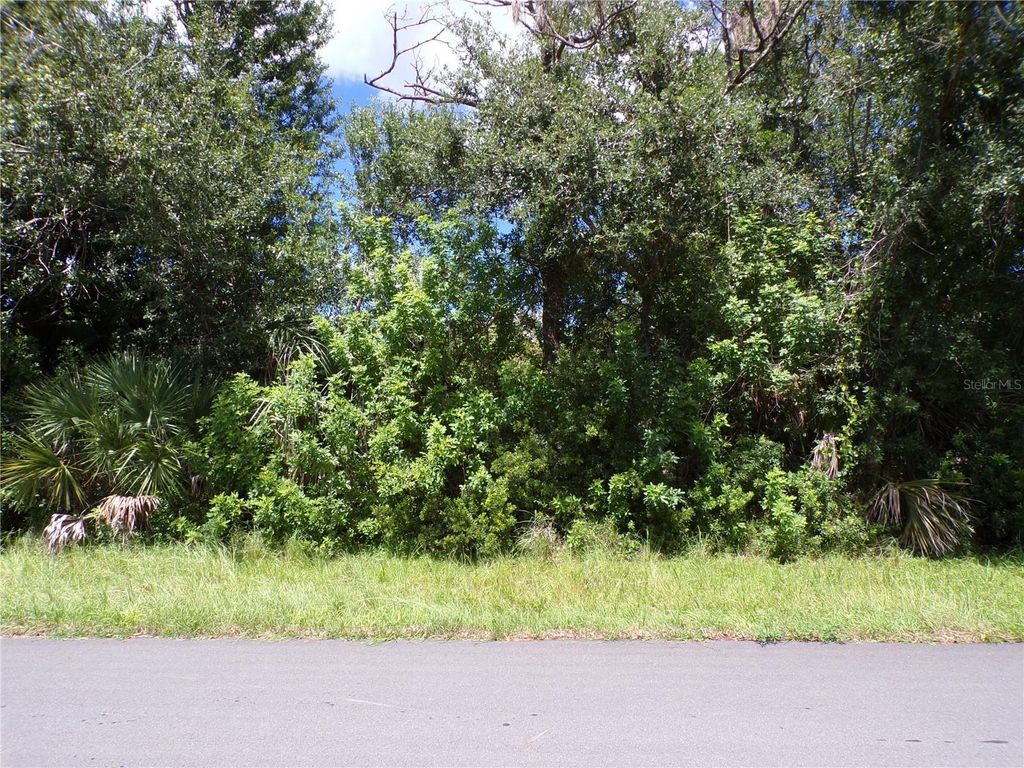 Photo of 11256 Reinhardt Avenue, Englewood, FL 34224 (MLS # C7515471)