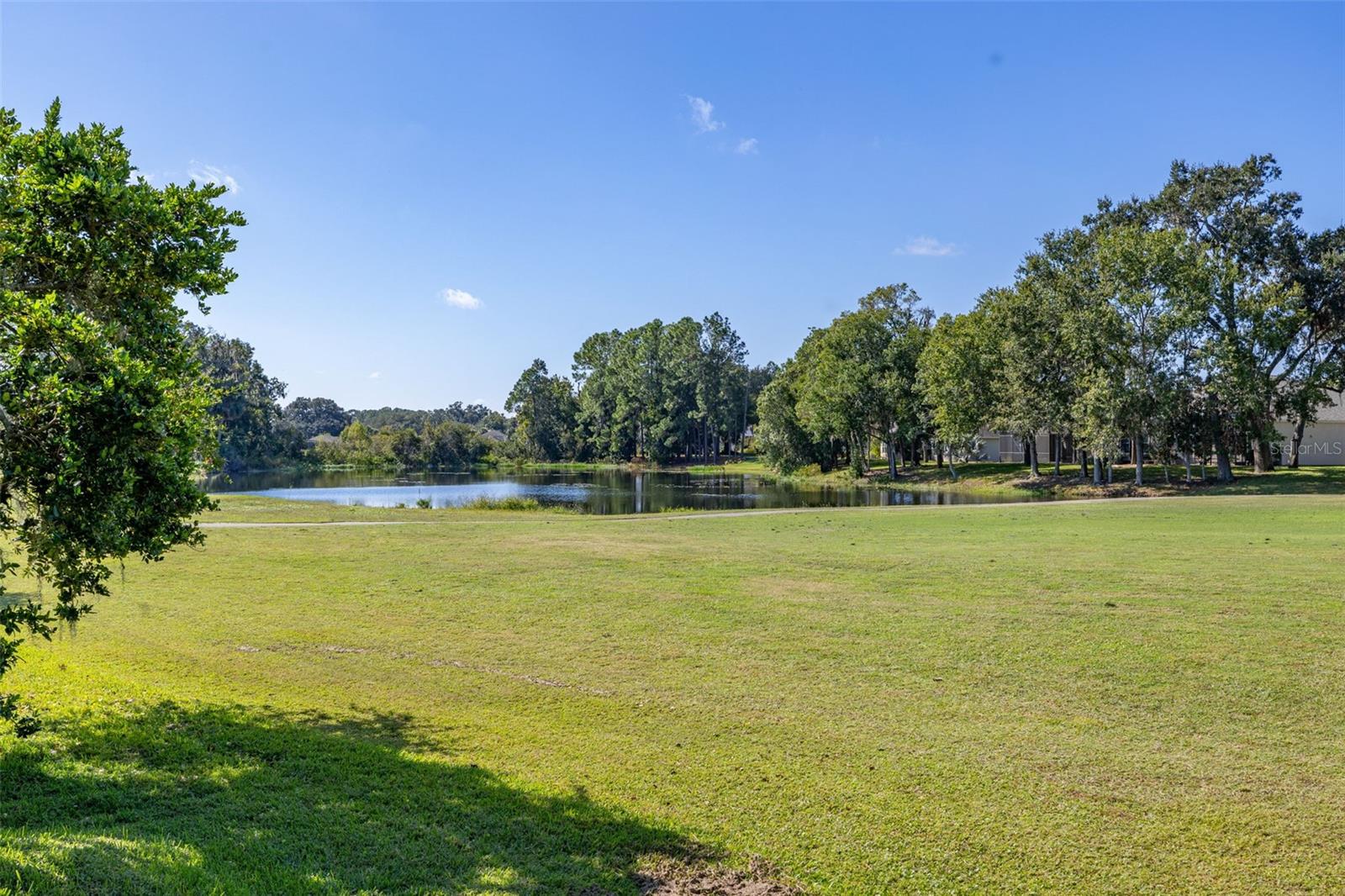 FOREST AT RIDGEWOOD - Residential