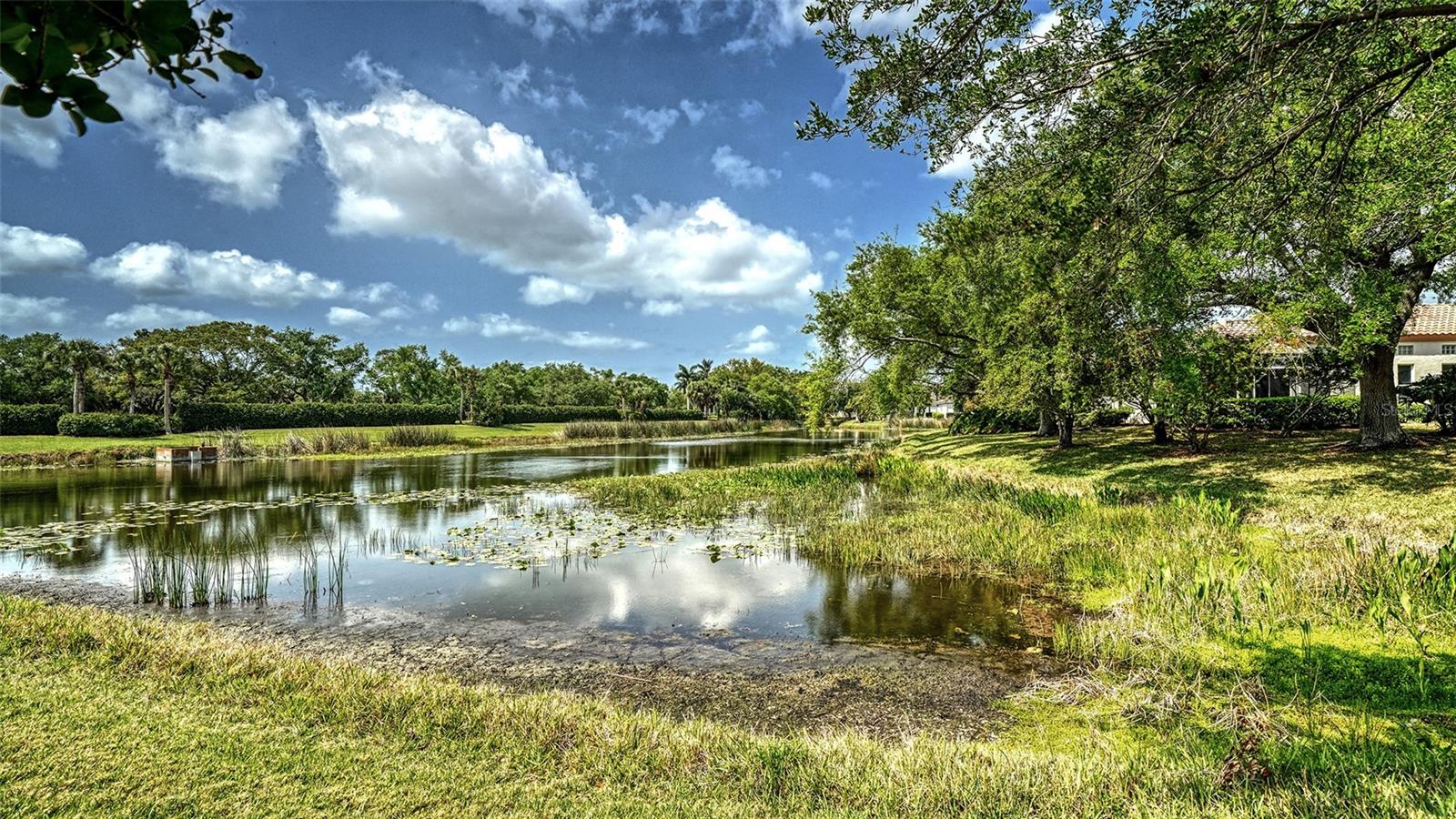 MIRA LAGO AT PALMER RANCH PH 2 - Residential