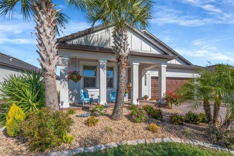 31493 CANNON RUSH DRIVE SAN ANTONIO FL 33576