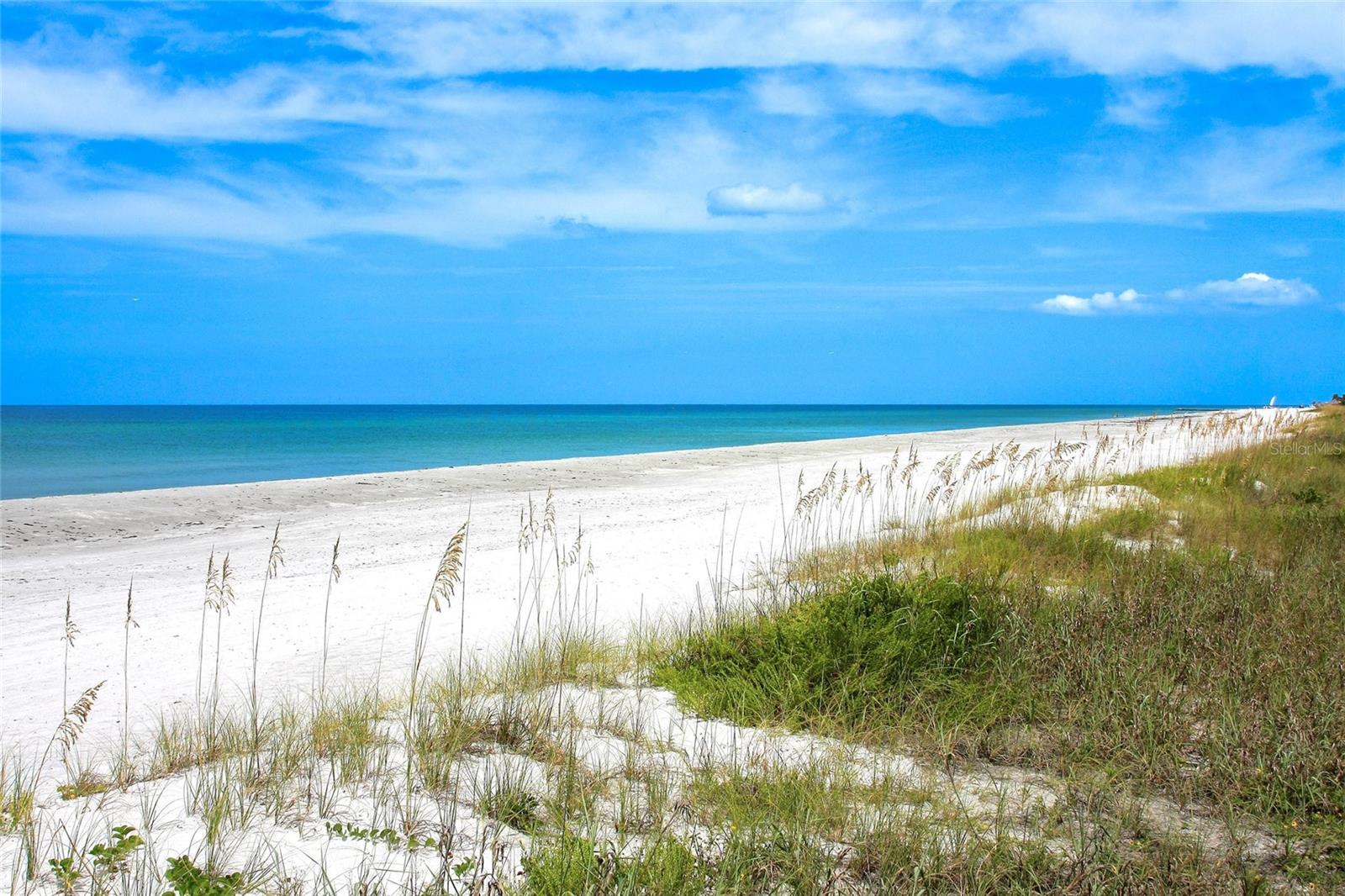 L ELEGANCE ON LIDO BEACH - Residential