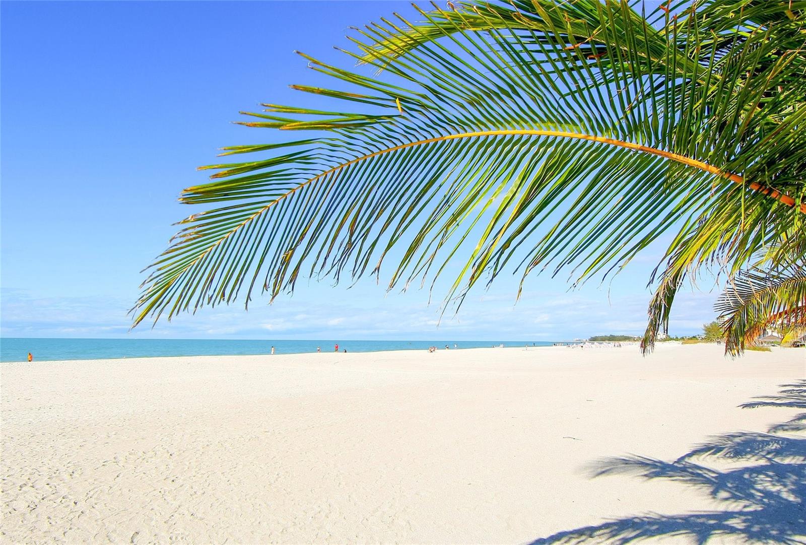 L ELEGANCE ON LIDO BEACH - Residential