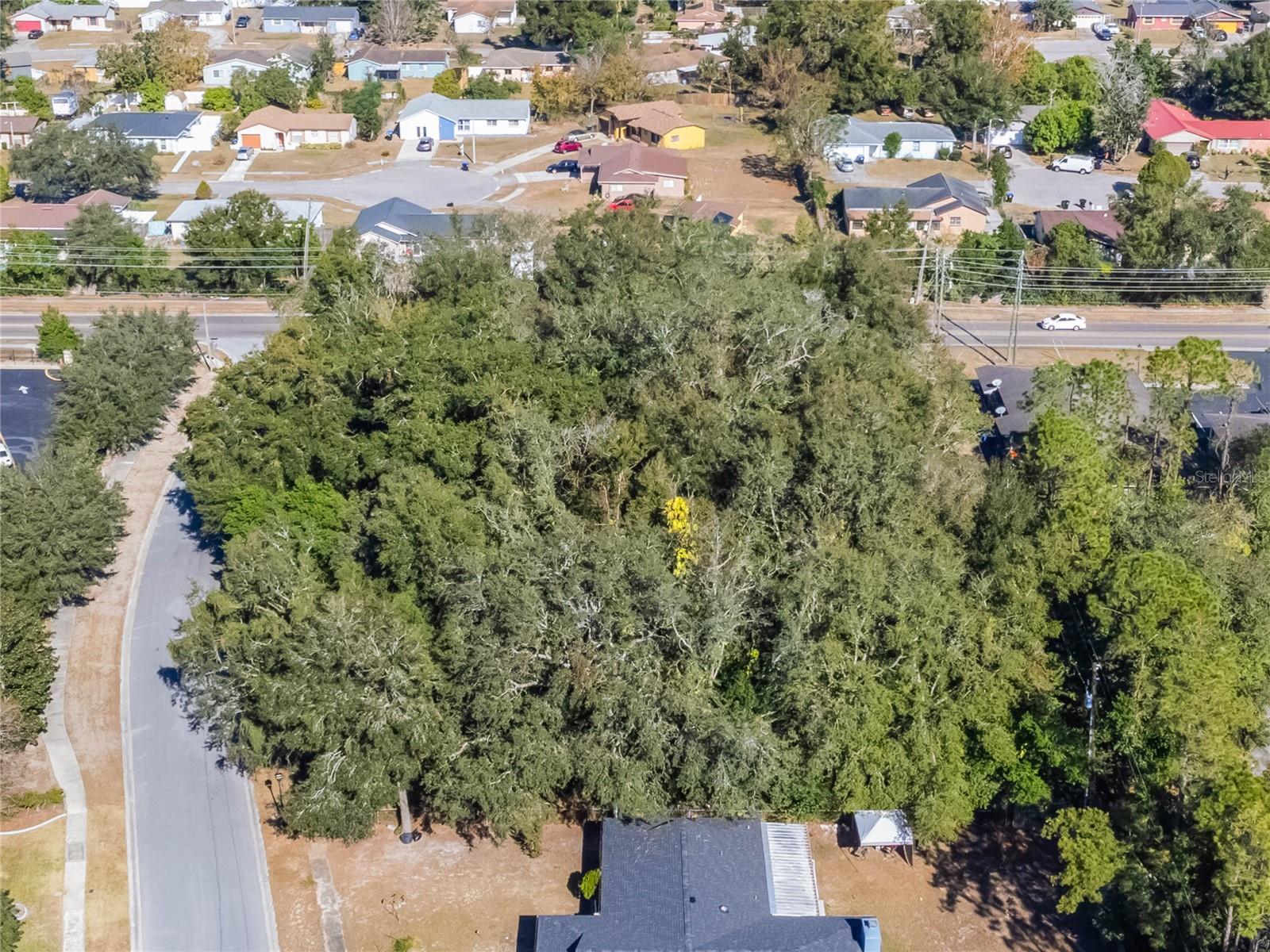 7648 BALBOA DRIVE