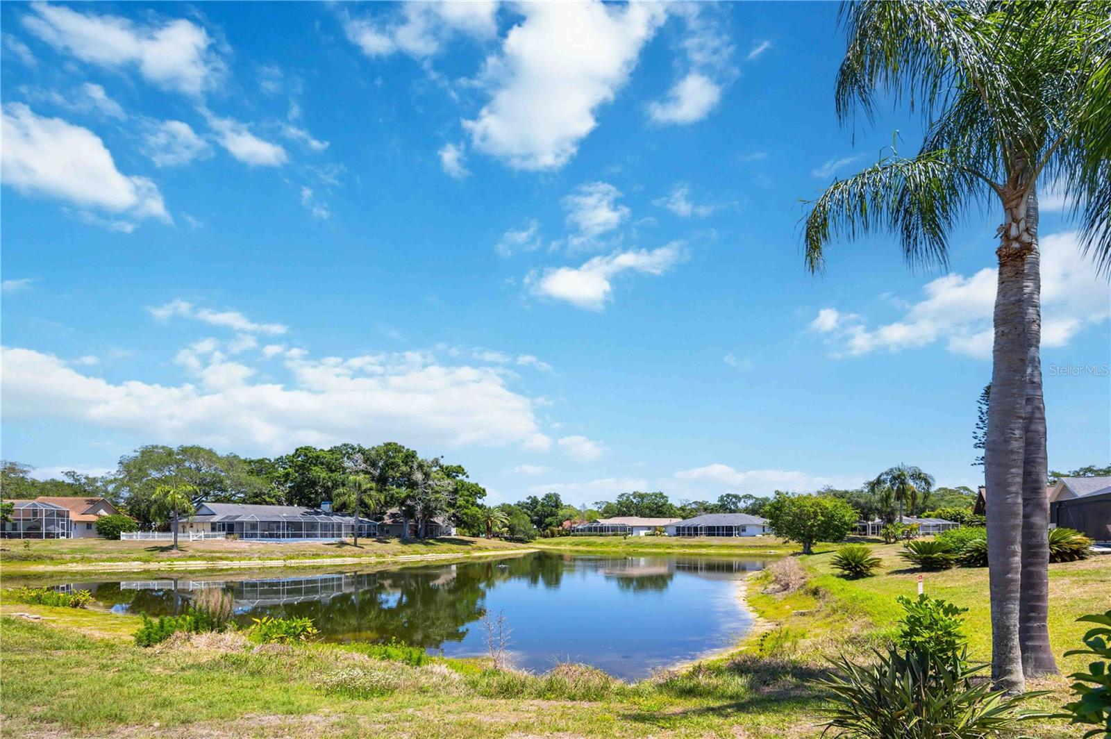 HAMLETS GROVE - Residential