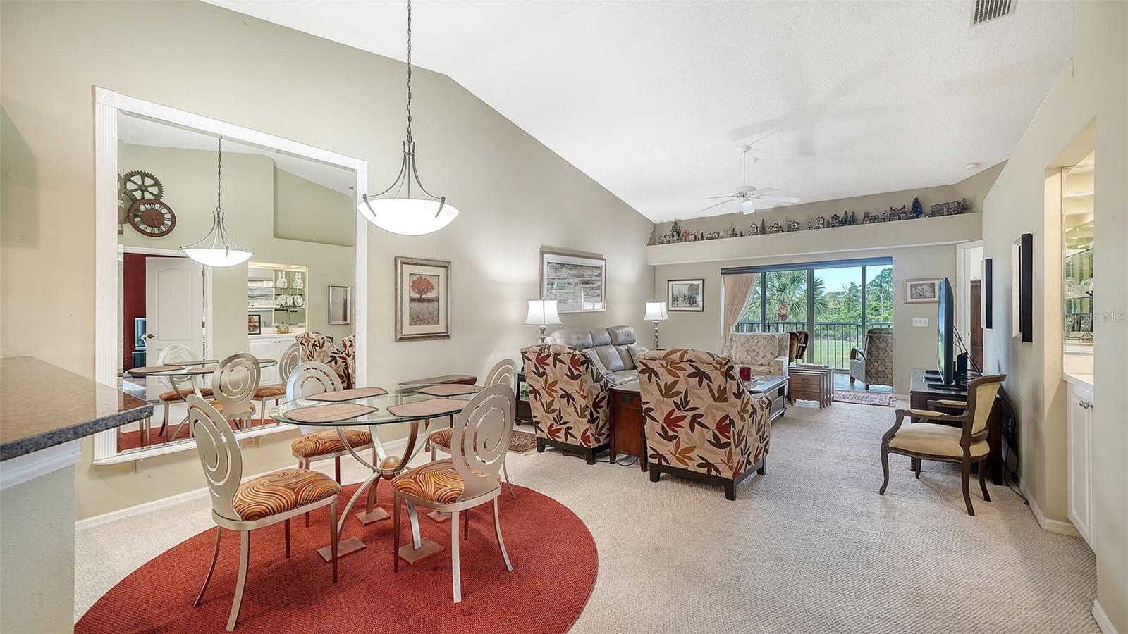 9641 CASTLE POINT DRIVE 1226