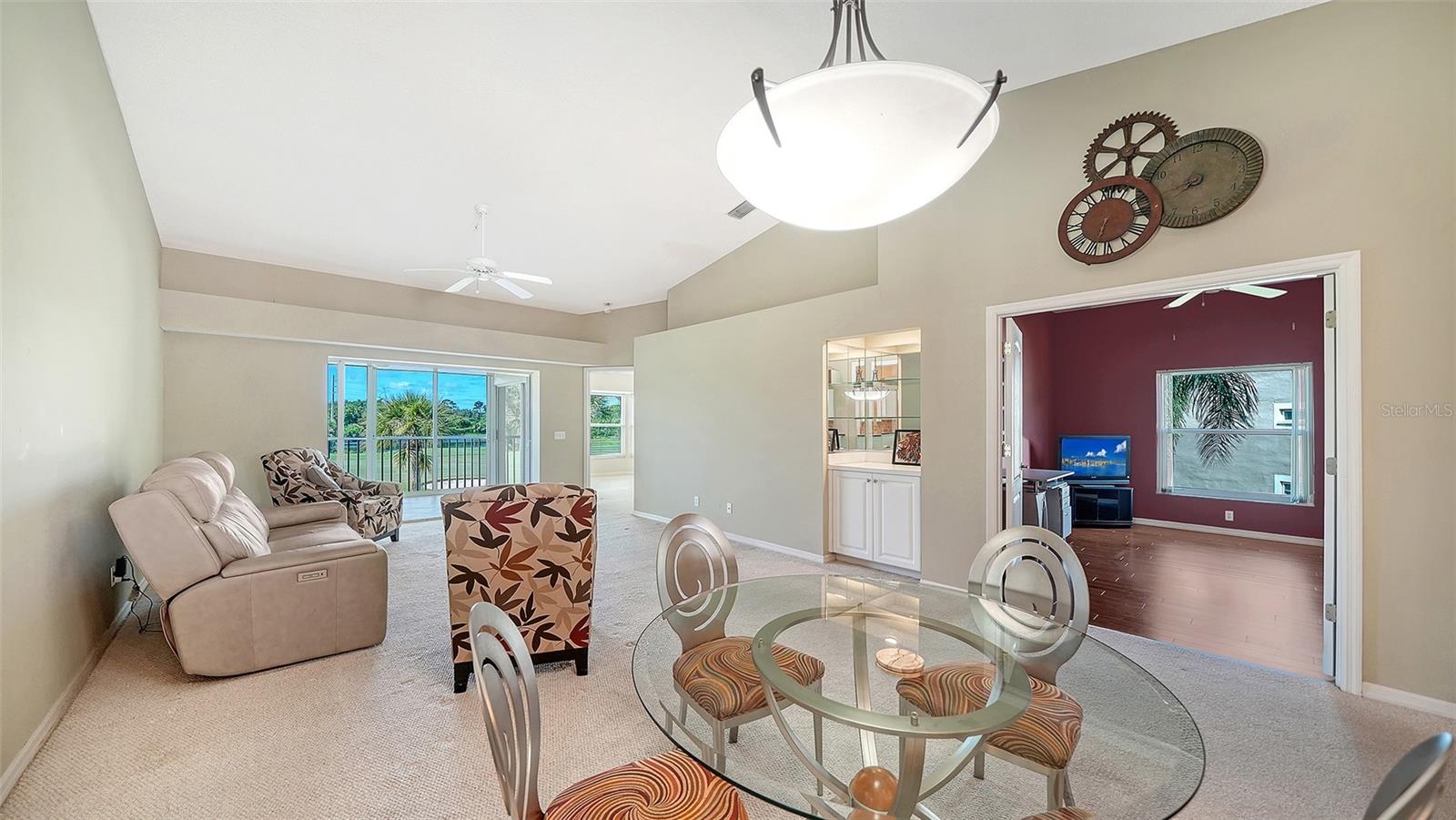 9641 CASTLE POINT DRIVE 1226