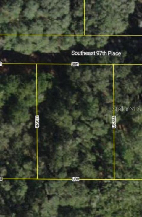 Photo of 0000 SE 97th Place, Ocklawaha, FL 32179 (MLS # G5105940)