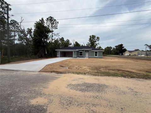 Photo of 3 Guava Place Drive, Ocklawaha, FL 32179 (MLS # OM724670)