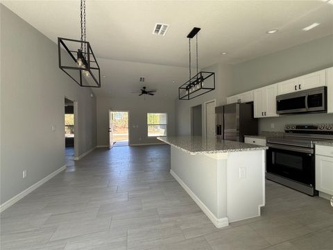 Tiny photo for 3 Guava Place Drive, Ocklawaha, FL 32179 (MLS # OM724670)