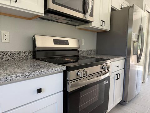 Tiny photo for 3 Guava Place Drive, Ocklawaha, FL 32179 (MLS # OM724670)