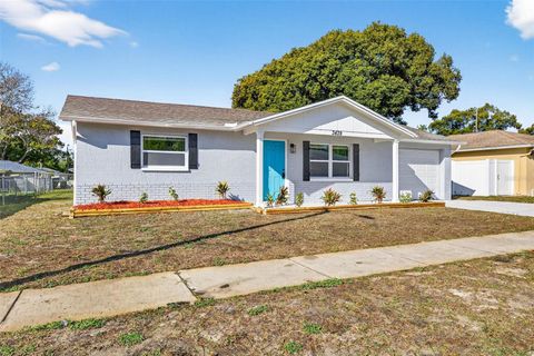Photo of 3439 Paloma Drive, Holiday, FL 34690 (MLS # TB8458066)