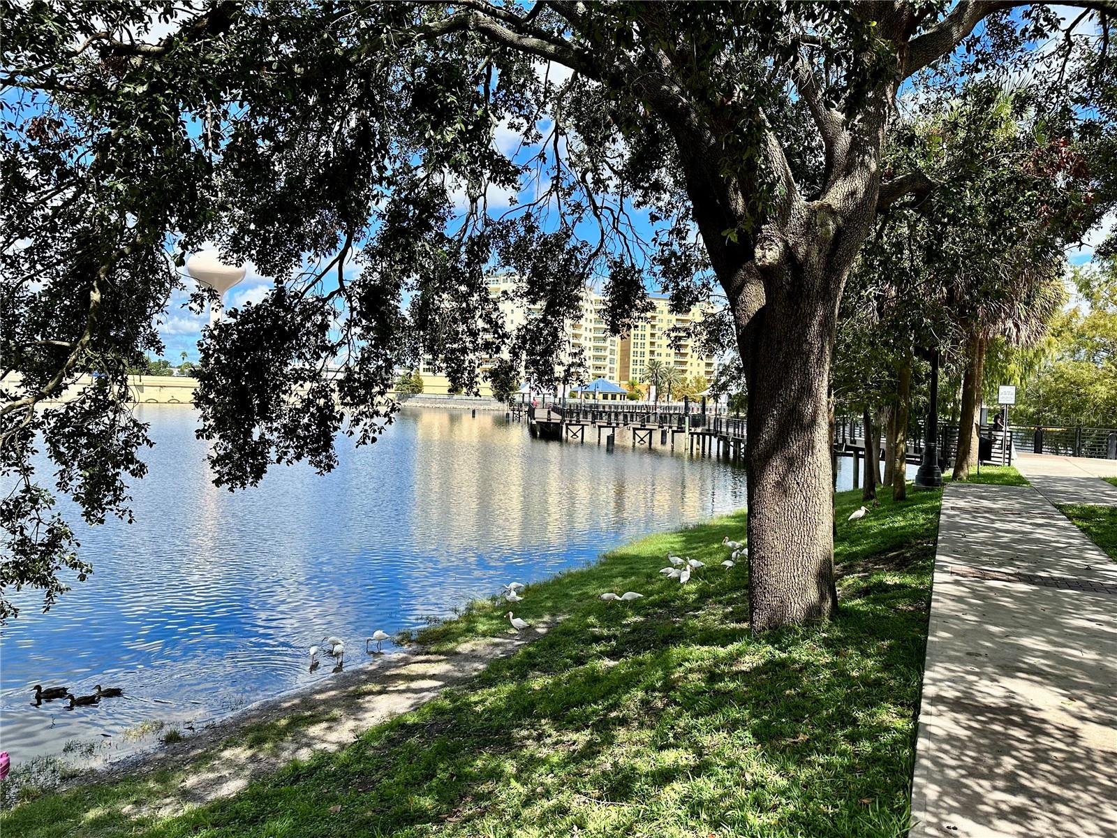 WATERSIDE AT CRANES ROOST A CONDO COMMUNITY - Residential Lease