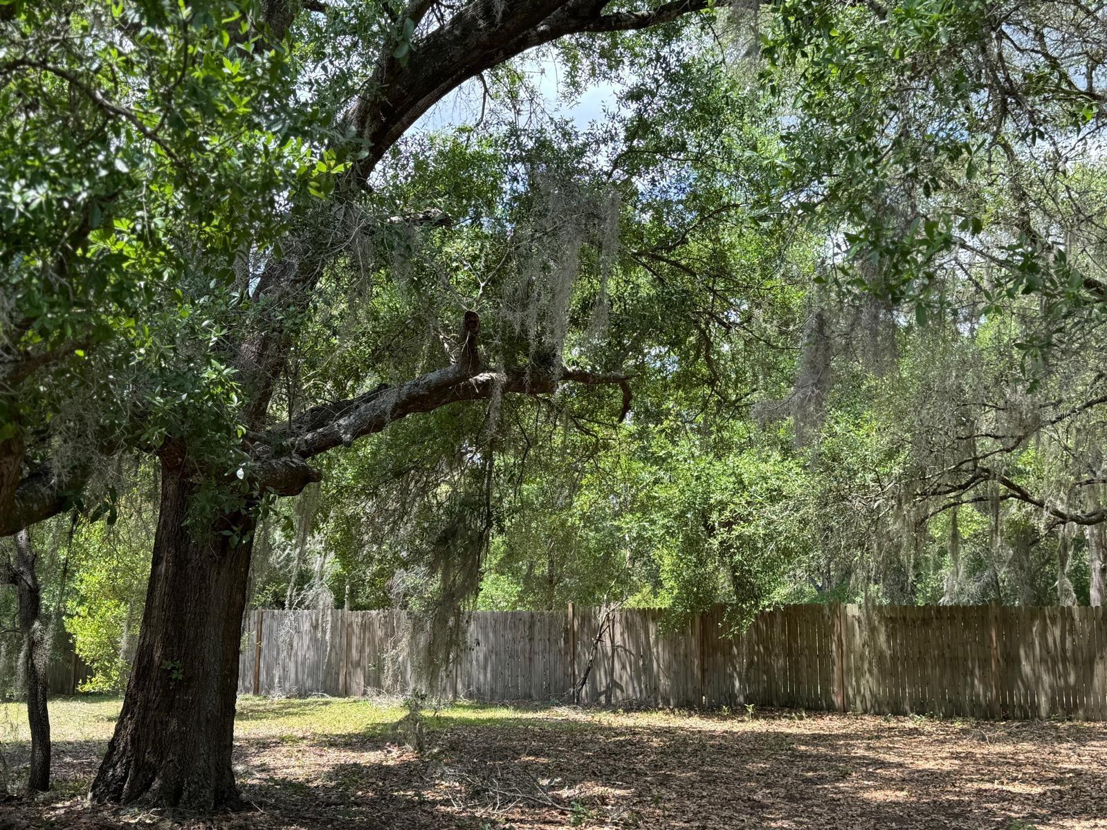PINEY WOODS - Residential