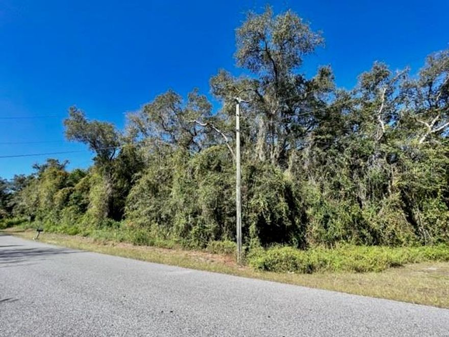 Build your DREAM HOME at 0 Albright Rd, Spring Hill, FL 34610 in Pasco County with Tax ID: 17-24-14-0010-00000-5470. With a GENEROUS SIZE LOT of 168,716 sqft containing 3.8732 acres with dimensions 265' wide at street level by 653' deep on the right side by 267' across the back perimeter by 612' on the left side of level land in the Highlands area of Spring Hill, you can design your MAGNIFICENT OASIS. This southeast-facing land is located in a BEAUTIFUL region where there is an emphasis on CONSERVATION OF NATURE. This plot is zoned AR = Agricultural-Residential whose purpose is designed to develop relatively large tracts of land to accommodate the individuals who desire a rural or estate-type of living environment while promoting conservation or greenbelting of rural environments by limiting the intensity & types of residential development. Do you want to have farm animals? Bring your horses, goats, chickens, dogs & barn cats! Per county code, 3 grazing animals/livestock are allowed per acre. The HUGE PARCEL features SUPERB ACCESS with paved & public-maintained roads. MASSIVE BONUS: This land has electricity located at street-level as there are utility poles running parallel along Albright Rd. It should be a breeze to hook up to electric service. Private septic tank & well for water is needed. Of course, the buyer is encouraged to verify with the county & other professionals regarding building codes, zoning & whatever else is deemed necessary in order to make an informed decision. Shopping centers, schools, medical plazas, places of worship, restaurants, SPECTACULAR GULF BEACHES & tourist attractions are only a short drive away. Enjoy the many festivities & events throughout the Greater Tampa Bay area. New home construction is BOOMING! Build your PRIVATE GETAWAY in this NO HOA, NO CDD, NO FLOOD zone where you can store all your vehicles from RVs to jet skis to boats to everyday vehicles. Need room for a POOL? No problem here! Where else can you find such a large piece of TROPICAL vacant land in such close proximity to important amenities at this FANTASTIC price? Drive by & explore the property, check out the detailed pictures, walk the virtual tour using Google maps & then call your favorite Realtor to make an offer. MAKE THIS YOUR FUTURE HOME!